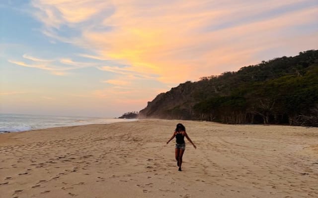 Sayulita to Camino al Buddha : 12 km Biocultural Hiking Experience photo 9