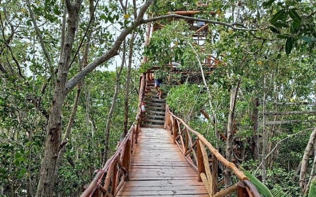 Holbox: Pajaros island, Pasion Island & Punta Mosquito- pick up photo 10
