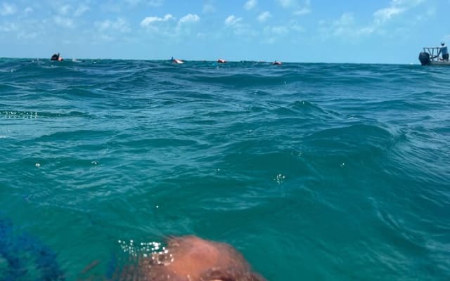 4 in 1 Experience in Tulum photo 7