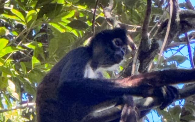 Punta Laguna Adventure with Mayan Ceremony photo 8