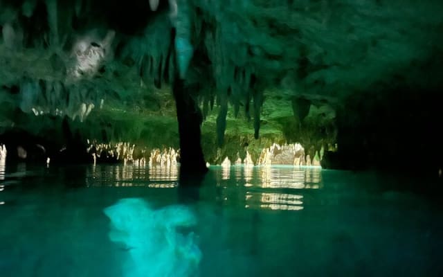 Snorkeling Activity in a Cenote Expedition photo 5
