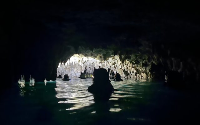 Snorkeling Activity in a Cenote Expedition photo 11