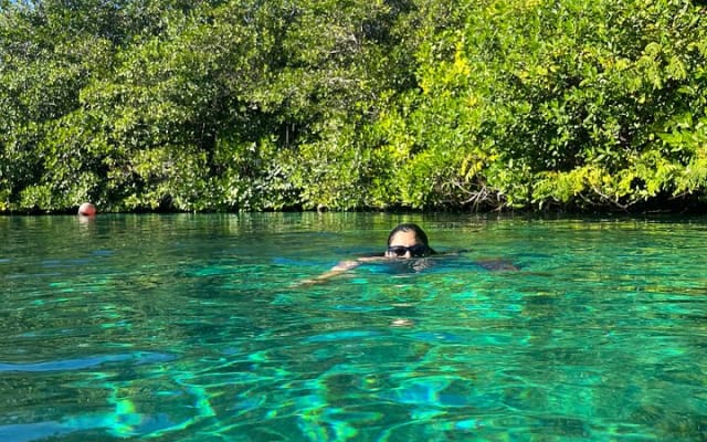 Snorkeling Activity in a Cenote Expedition photo 12