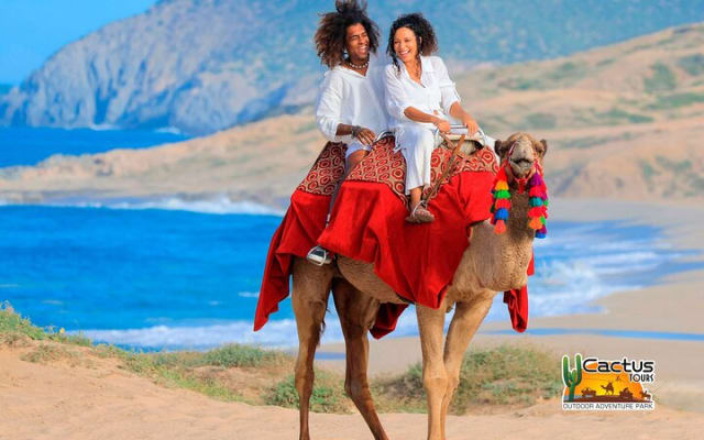 Balade à dos de chameau sur la plage et rencontre avec les chameaux à Cabo photo 2