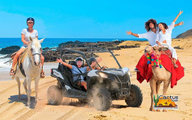Beach UTV Adventure with Free Camel and Horseback Ride