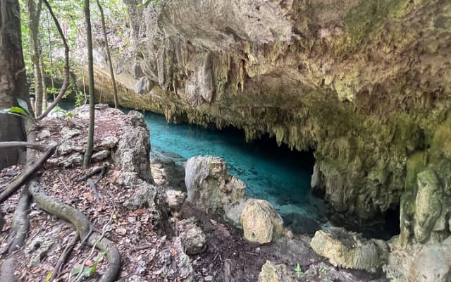 4 in 1 Experience in Tulum photo 14