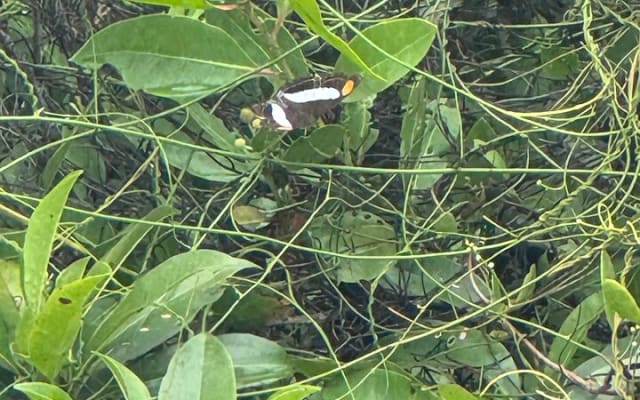 Kaan Luum Lagoon and 2 Cenotes Adventure photo 8