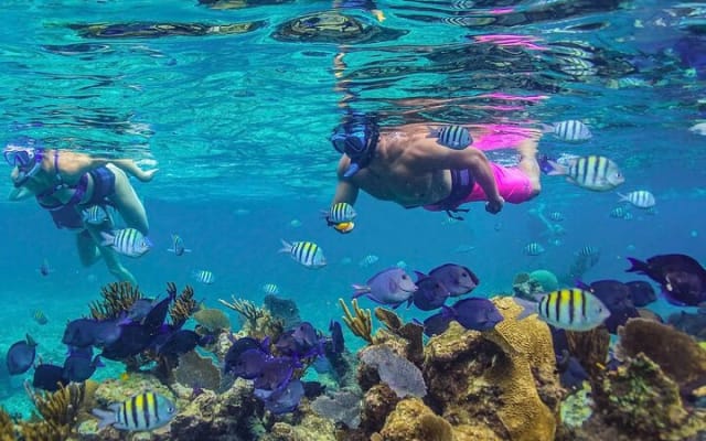 Half-Day Luxury Sailing in Puerto Morelos with Open Bar photo 6