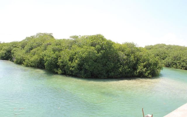 Sian Ka'an Classique photo 14
