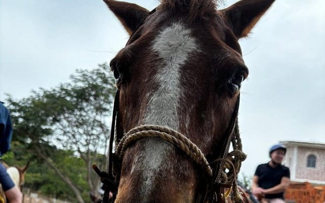 Experience ATV and Horse Back Riding photo 15