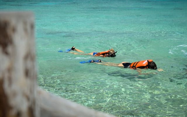 Cozumel Buggy Tour photo 5