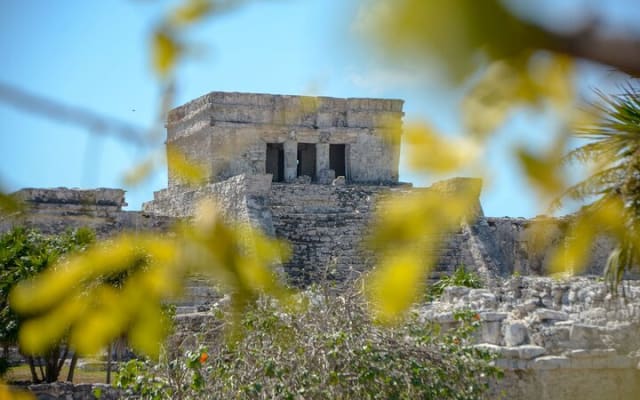 Tour de las ruinas de Tulum, tortugas en Akumal y cenote photo 7