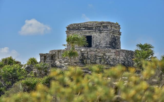 Tour de las ruinas de Tulum, tortugas en Akumal y cenote photo 11