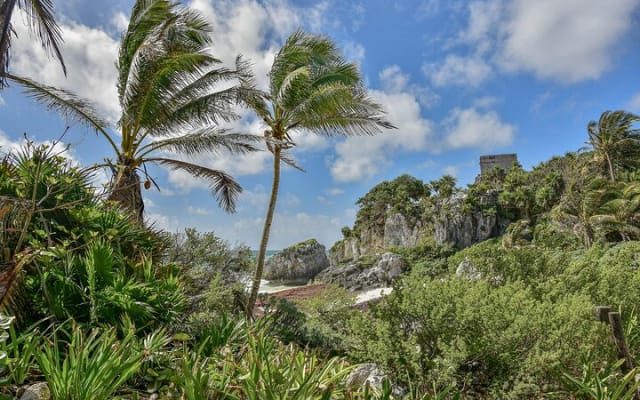 Tour de las ruinas de Tulum, tortugas en Akumal y cenote photo 10