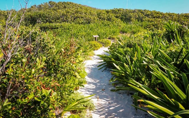Beach Escape: Isla Contoy and Isla Mujeres with Snorkeling. photo 9