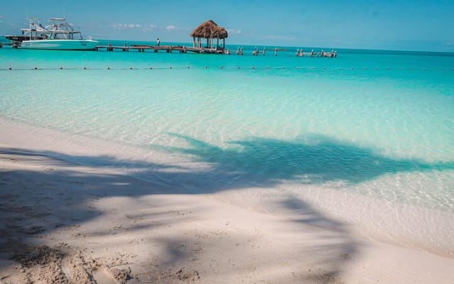 Beach Escape: Isla Contoy and Isla Mujeres with Snorkeling. photo 11