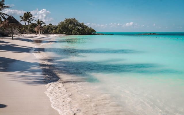Beach Escape: Isla Contoy and Isla Mujeres with Snorkeling. photo 8