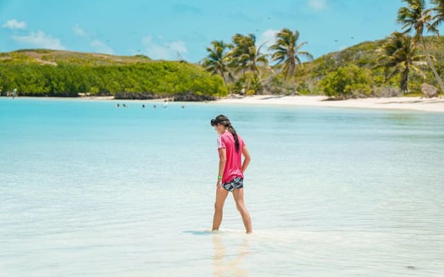 Beach Escape: Isla Contoy and Isla Mujeres with Snorkeling. photo 12