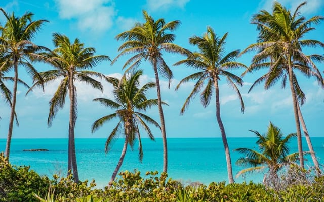 Beach Escape: Isla Contoy and Isla Mujeres with Snorkeling. photo 7