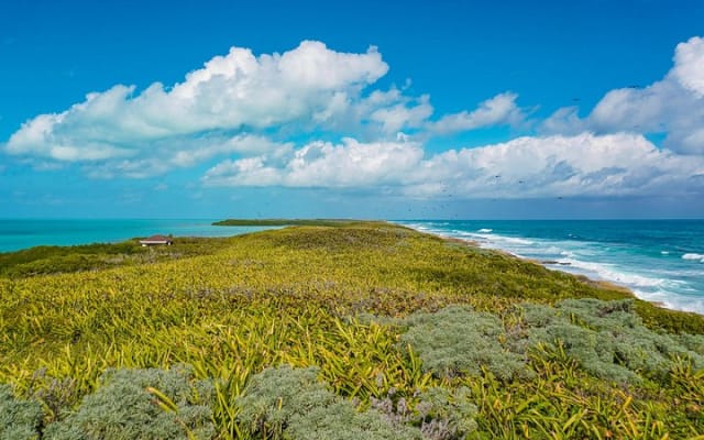 Beach Escape: Isla Contoy and Isla Mujeres with Snorkeling. photo 13