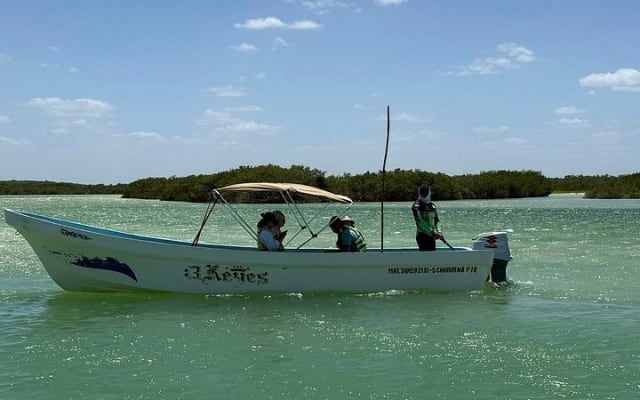 Private Tour: Chuburná, Isla Columpios & Progreso Tour photo 11