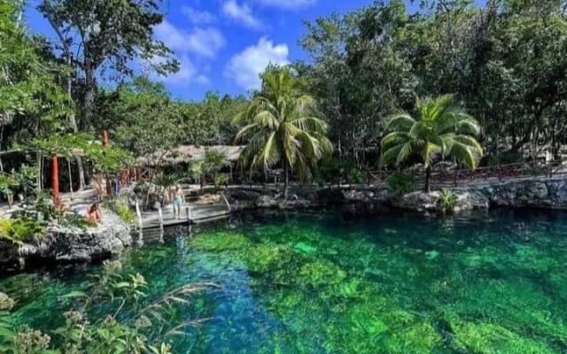 Cenotes Casa Tortuga: 5 Cenotes Day Pass photo 2