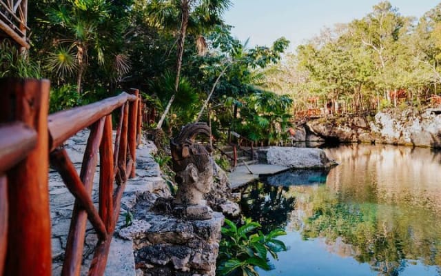 Cenotes Casa Tortuga: 5 Cenotes Day Pass photo 3