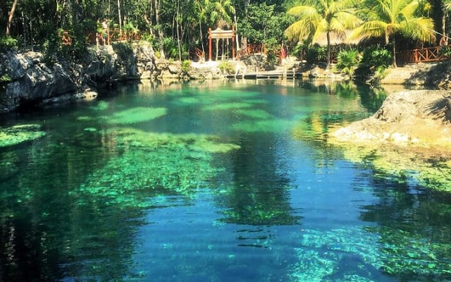 Cenotes Casa Tortuga: 5 Cenotes Day Pass photo 5