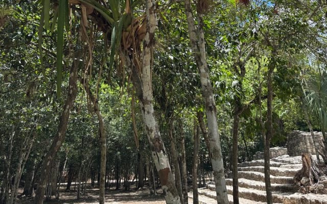 Cobá Adventure (Private, Full Day) photo 6