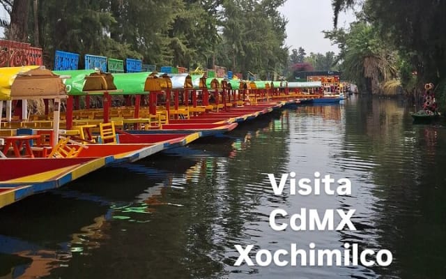 Xochimilco Small-Group tour Mexico City