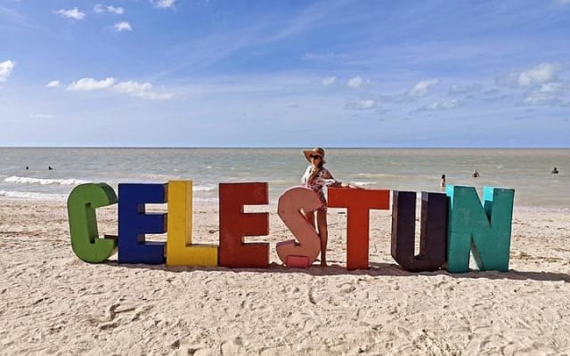 Celestún Mangrove Exploration & Beach Escape from Mérida photo 5