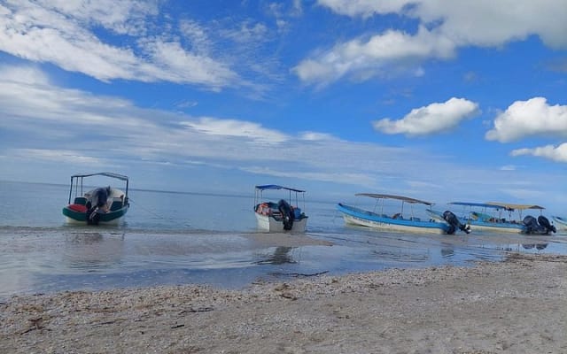 Celestún Mangrove Exploration & Beach Escape from Mérida photo 8