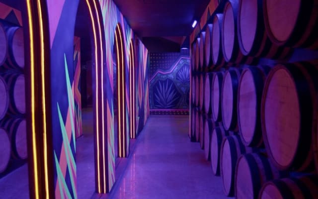 Immersive Experience & Tequila Tasting in Puerto Vallarta photo 4