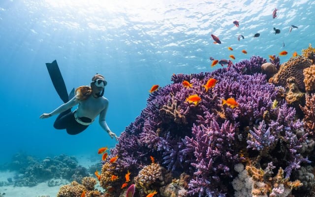 Full-Day ATV + 4 Ziplines + Cenote Swim + Yalkú Snorkeling photo 3