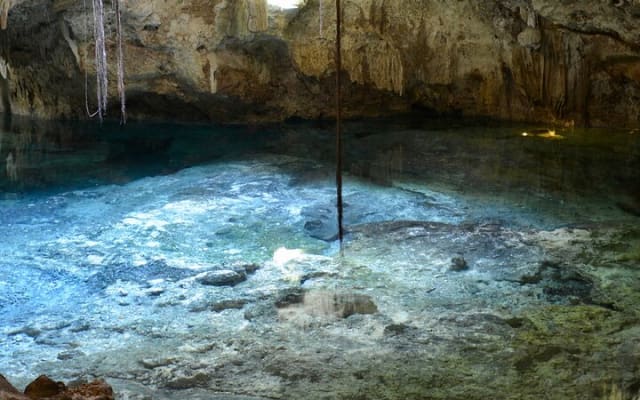 Tulum Jungle Cenote & Turtle Swim photo 5