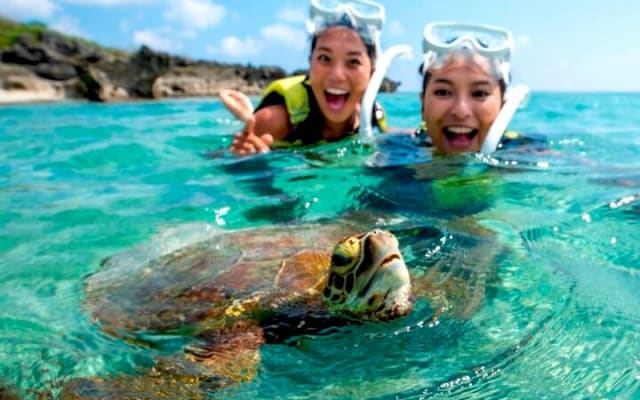 Tulum Jungle Cenote & Turtle Swim photo 12