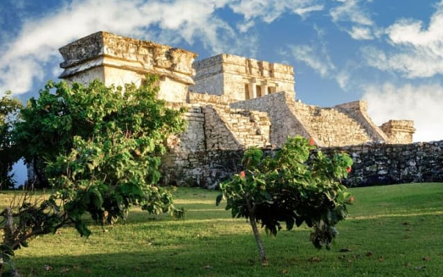 Tulum : Cenote Swim & Turtle Tour with Ruins Visit & Buffette photo 7