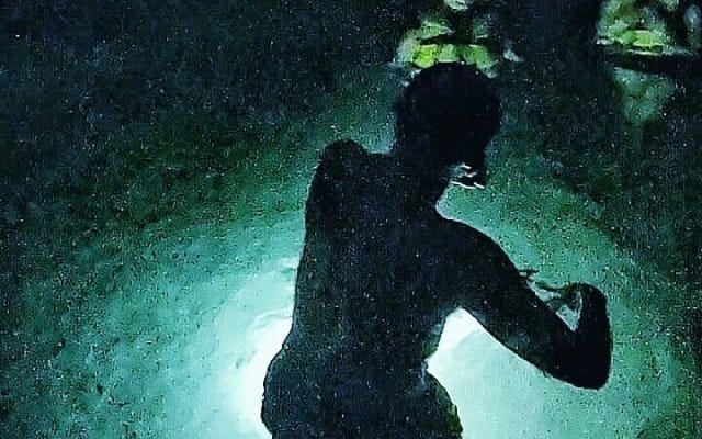 Tulum : Cenote Swim & Turtle Tour with Ruins Visit & Buffette photo 14