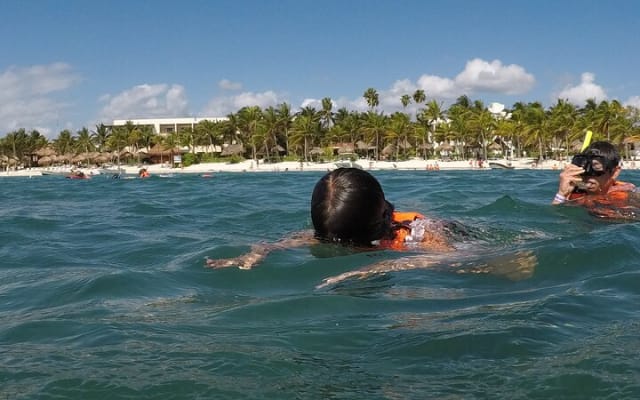 Snorkeling with Sea Turtles and Cenote Adventure photo 3