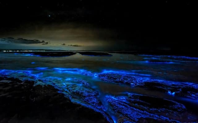 Holbox Bioluminescence: Night Kayak & Stargazing Eco Tour photo 14