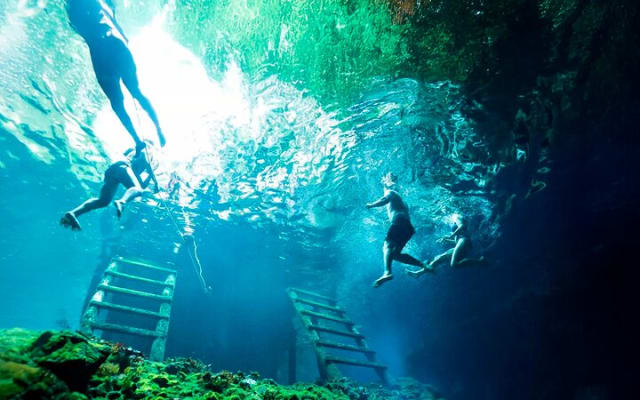 Tulum Jungle Combo: Turtles, ATV, Ziplines & Cenote Full-Day photo 13