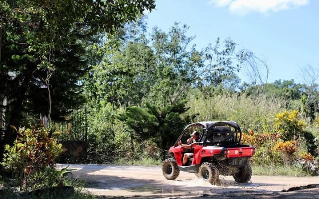Jungle Buggy Day Tour photo 3