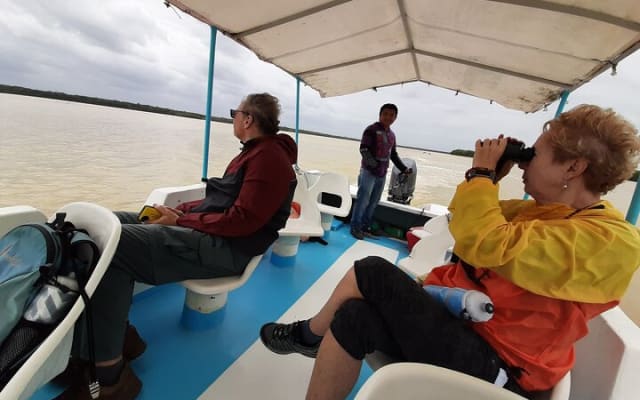 Guided Bird Watching Private Tour in Rio Lagartos from Tulum photo 8