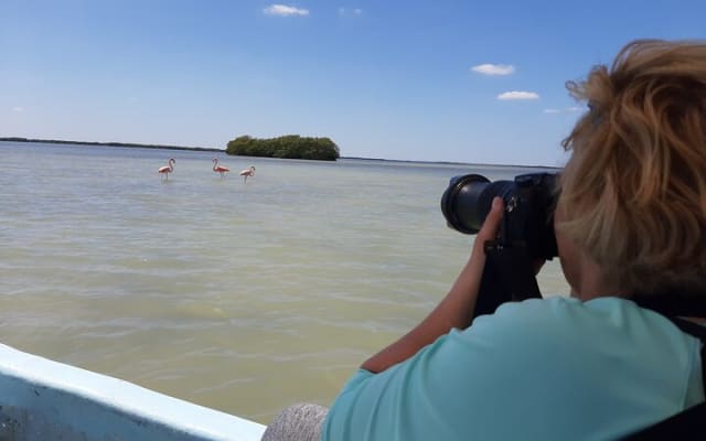 Guided Bird Watching Private Tour in Rio Lagartos from Tulum photo 11