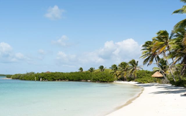 Contoy Island & Mujeres island, snorkeling & lunch on the beach. photo 3