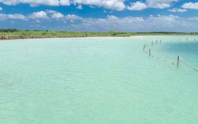Kaan Luum Lagoon and 2 Cenotes Adventure photo 3