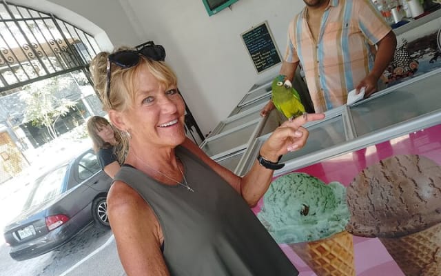 Tour de tacos Signature en PV con Vallarta Eats photo 3