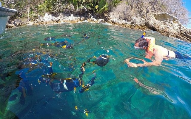 Private Bay Tour and Snorkeling