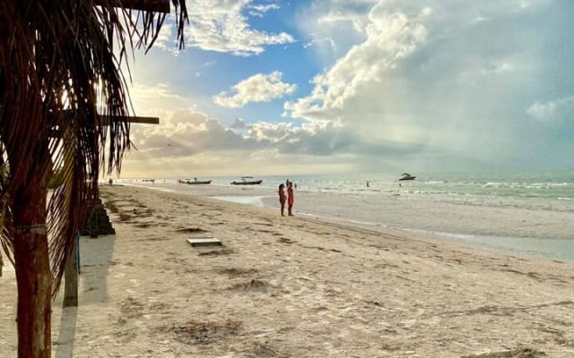 Holbox Island Tour Punta Mosquito Local Culture and Lunch photo 8