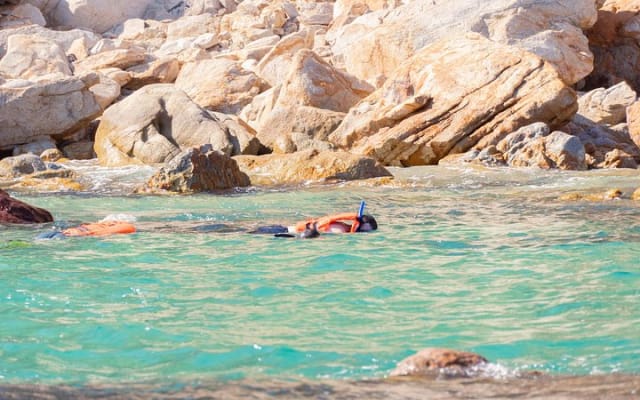 Paseo en bote con fondo de cristal por Cabo San Lucas hasta el famoso Arco photo 13